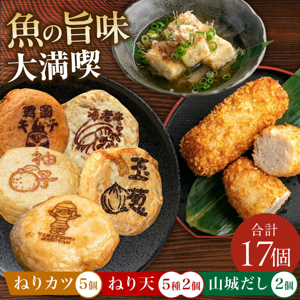 【ふるさと納税】ねり天10個+山城だし2p+ねりカツ5個 大阪府高槻市/ねり天・旬彩和食 山城[AOCP003] 練り物 ねりもの 魚介類 食品 おでん 煮物 贈答 ギフト 贈り物 プレゼント 特産品 産地直送 お取り寄せ 送料無料 人気 おすすめ 大阪 大阪府 高槻 高槻市 ふるさと納税