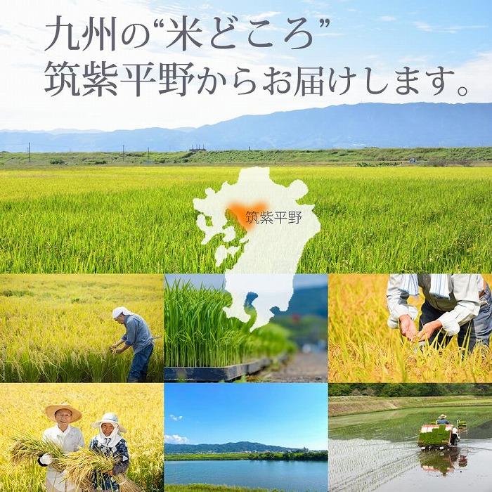 福岡県産【特A】評価のお米「元気つくし」5kg×2袋 [10kg] [玄米]