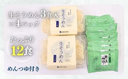 生そうめん 12食　ストレートつゆ付 夏季限定 黄金製麵 C0532 岩手県 北上市