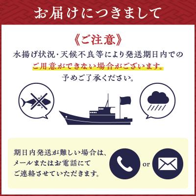 ふるさと納税 鹿児島市 【 生活応援 + マグロ中落丼 100g×1P 】 期間限定 鹿児島産 ブリ丼 70g×5セット |  | 02