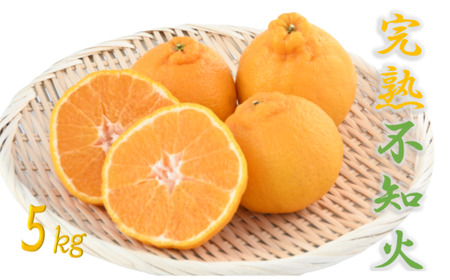 【2026年 発送】かいもん不知火5kg(迫田果樹園/016-1207) しらぬい 柑橘類 不知火 みかん フルーツ 柑橘 旬 春 果物 指宿 いぶすき 鹿児島