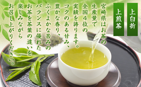 特選都城茶　煎茶・白折味くらべセット≪みやこんじょ特急便≫_MJ-4804-Q_(都城市) 茶葉 上煎茶 100g×3本 上白折 100g×2本 お茶の産地 都城盆地 最高級品 ホット 冷茶 日本茶 