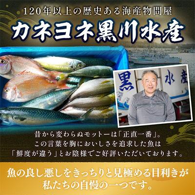 ふるさと納税 御坊市 御坊産　鮮魚セット　約5kg |  | 03