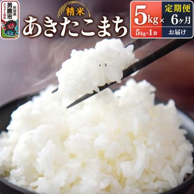 ふるさと納税 男鹿市 定期便6ヶ月令和7年産あきたこまち(精米)5kg|23_szf-010506