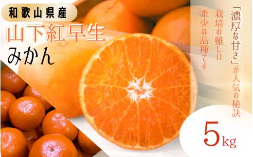 【先行予約】秀品 「紅娘」 温州 みかん  山下紅早生 5kg 【S~2Lサイズおまかせ】【2025年11月下旬～2025年12月中旬までに順次発送】＜味好農園＞ /温州みかん みかん 蜜柑 柑橘 山