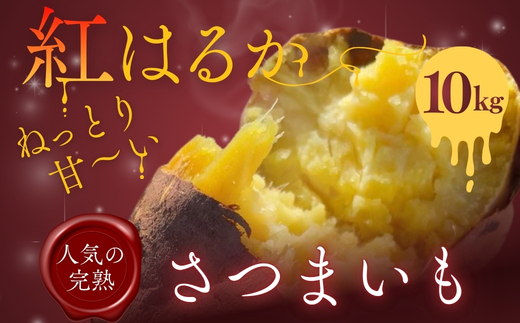 紅はるか さつまいも 10kg ｜ 熟成 数量限定 甘い 焼き芋 バター焼き サラダ 天ぷら スイーツ スイートポテト 大阪 河内長野 中村オリジナルぶどう園 訳あり 料理 国産 野菜 食育