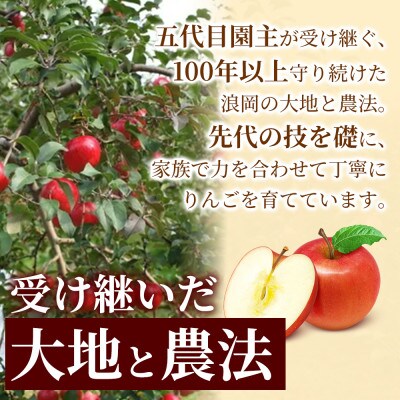【甘くてシャキシャキ】 りんご 「シナノスイート」家庭用 約5kg (約14～20個)  青森市【配送不可地域：離島】
