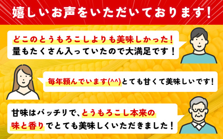 【先行予約】自慢のスイートコーン　ゴールドラッシュ　約7kg　西都市特産　2024年初夏発送＜1-122＞