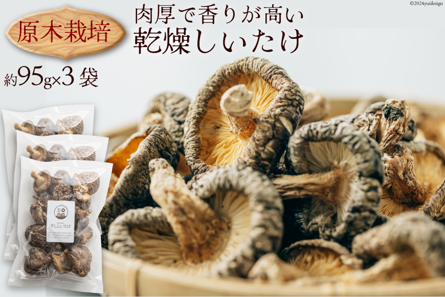 原木栽培 乾燥しいたけ 約95g×3P 肉厚 熊本県 特産 [日添 熊本県 五木村 51120303] 椎茸 しいたけ 乾燥椎茸 乾燥 シイタケ 熊本県 五木村 特産