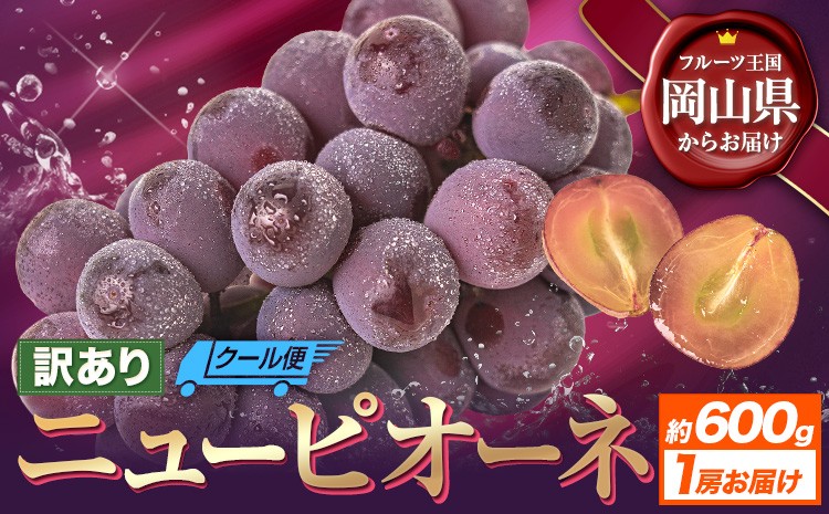 
                  【先行予約】訳あり ニューピオーネ 約600g 1房 ブドウ 葡萄 果物 秋旬 訳あり 優品 厳選出荷 フルーツ デザート 岡山県 浅口市《8月下旬-10月中旬頃出荷》ニューピオーネ
                