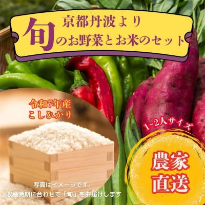 ふるさと納税 南丹市 【京都丹波より旬をお届け】朝採れお任せ季節の京野菜&amp;お米2キロセット〜農家直送〜