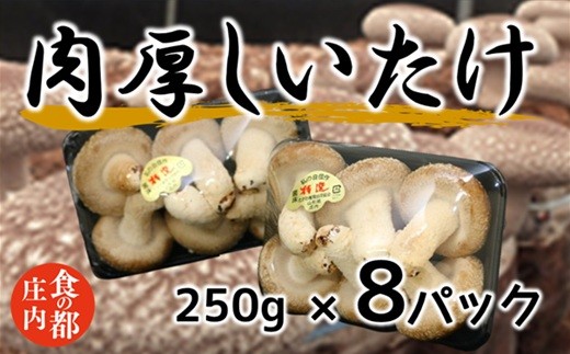 食の都庄内　肉厚しいたけ【期間限定】※11月中旬頃より順次発送