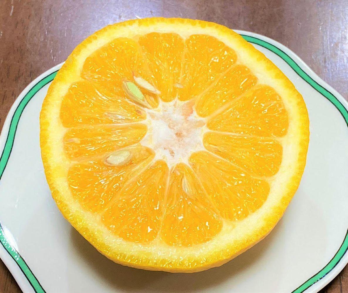 地元印南町産 樹熟 甘夏みかん 約7.5kg（20個前後） 大玉L～2Lサイズ