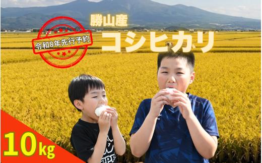 【先行予約】令和8年産 コシヒカリ 精米 10kg ※2026年10月上旬より順次発送予定│コシヒカリ 精米 白米 福井県勝山市 勝山米 白山水系 清流米 一等米 いのくちファーム 甘い米 冷めてもおいしい米 [B-103001]