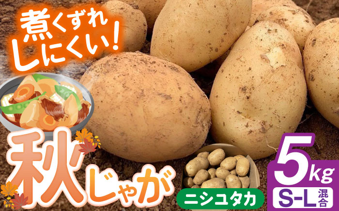 
            【先行予約】＜2025年12月〜1月発送＞長崎県産 秋作じゃがいも ニシユタカ 5kg 長崎県/オースタイルファーム株式会社 [42ALAD005] じゃがいも ポテト 長崎 雲仙 うんぜん 料理 煮込み カレー シチュー おでん じゃがちゃん 馬鈴薯 ばれいしょ ジャガイモ 野菜 ニシユタカ 秋 旬
          