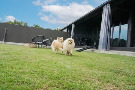 伊勢海悠 Con Perro 〜グランドッグ伊勢賢島~ 宿泊ギフト券 【3,000円分】
