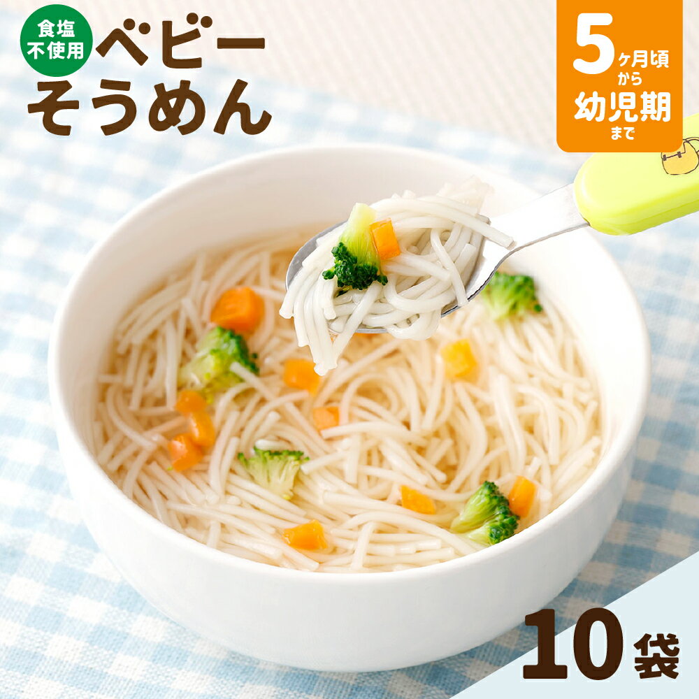 【ふるさと納税】ベビーそうめん 計1kg（100g×10袋） 素麵 ソーメン そうめん 麵類 乾麵 離乳食 食塩不使用 簡単調理 惣菜 国産 山梨県 中央市 送料無料