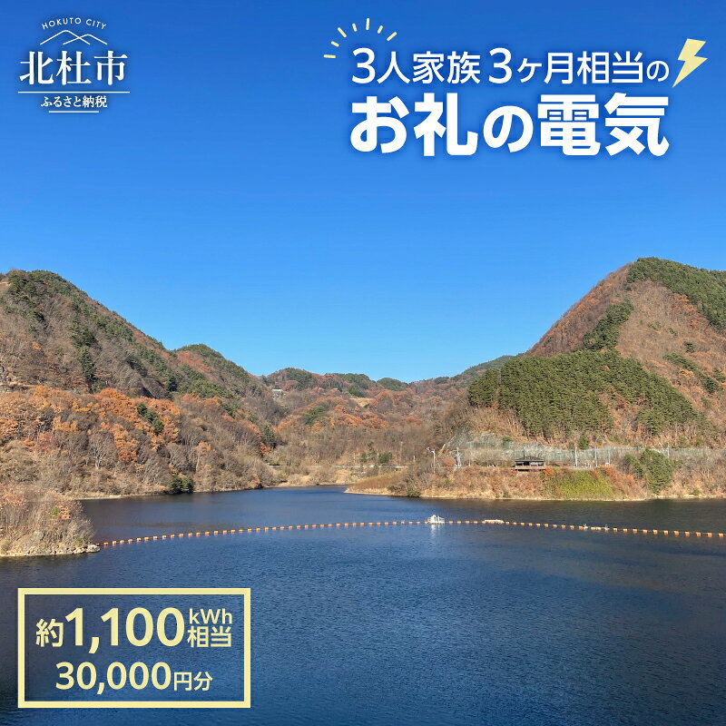 【ふるさと納税】 電気 再生可能エネルギー 1,100kWh 30,000円分 CO2フリー でんき 電気 地域電力 水力発電 再生可能 エネルギー お礼の電力 北杜市産 ヴィジョナリーパワー 山梨県 北杜市 送料無料