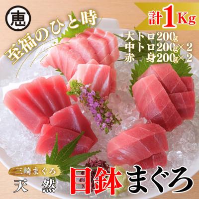 ふるさと納税 三浦市 【至福のひと時】天然目鉢まぐろ 1kg(大トロ200g,中トロ400g,赤身400g)