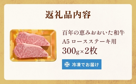 「百年の恵み おおいた和牛 」A5 ロースステーキ用 300g×２枚 黒毛和牛 黒毛 和牛 牛肉 ロース ステーキ おおいた和牛 A5ランク 霜降り 上質 肉産地 九州 大分 トキハインダストリー 玖