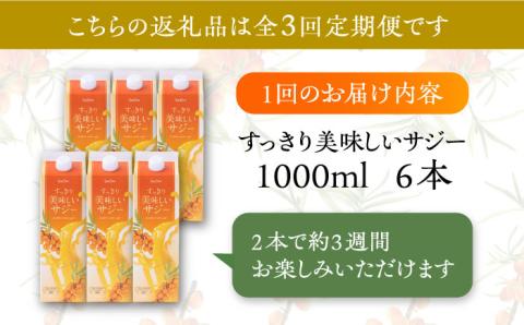 【全3回定期便】家族みんなでおいしく飲める！ すっきり美味しい サジー 6本 《豊前市》【ハウスボトラーズ】 [VAX048]