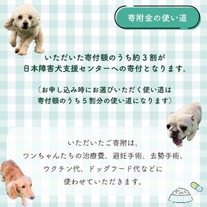 【返礼品なし】 障害犬 保護犬の支援 保護犬