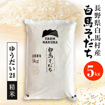 ふるさと納税 白馬村 【令和7年産】『白馬そだち』長野県白馬村産　お米　ゆうだい21　5kg(精米)