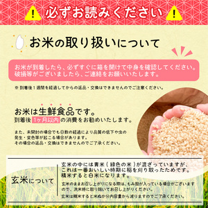 《先行予約》【令和8年産】はえぬき 玄米 10kg（5kg×2袋）2026年産 山形県産　【2026年9月下旬頃より発送予定】　024-C-JF006-R8
