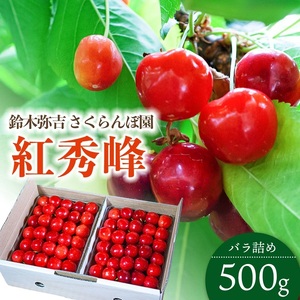 【令和9年産】さくらんぼ 紅秀峰 バラ詰め 2Lサイズ 500g 山形県鶴岡産 鈴木弥吉さくらんぼ園 K-939