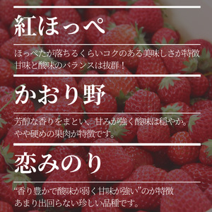 【予約受付】特別賞受賞！ご自宅用いちごBabyBerryFarm　300グラム４パック　【いちご イチゴ  苺 紅ほっぺ フルーツ 静岡県産 ふるさと納税  国産 産地直送】