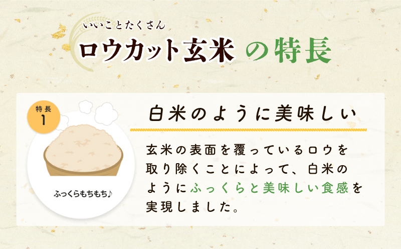 金芽ロウカット玄米4kg（2kg×2袋）【東洋ライス 2kg×2P お米 米 こめ 国産 小分け】 099H202