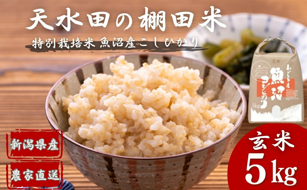 【ふるさと納税】【令和7年産 新米予約】 わかとち産 魚沼コシヒカリ特別栽培 棚田米 玄米5kg 新潟県 小千谷市 先行予約【0013-0002-01】