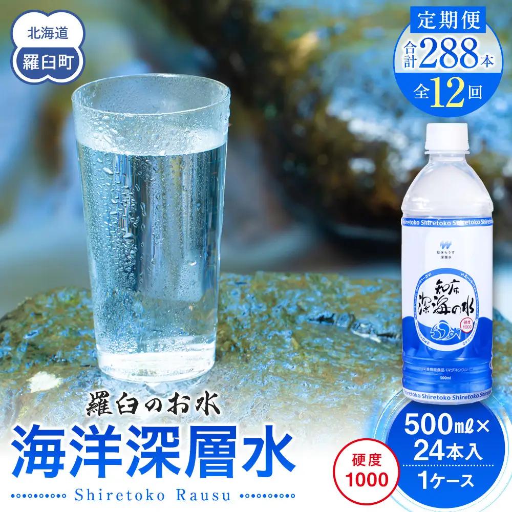 年12回！北海道 羅臼（らうす）のお水 海洋深層水500ml×24本定期便  知床 世界自然遺産 国産 備蓄 常備水 ペットボトル ミネラル 清涼飲料水 熱中症対策