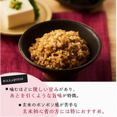 ふるさと納税 松原市 金のいぶき玄米ごはん 160g×18個 |  | 02