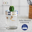 【ふるさと納税】【美濃焼】SaiSui Morocco（Blue＆White）植物付き【大東亜窯業】インテリア 雑貨 観葉植物 [MAG072]