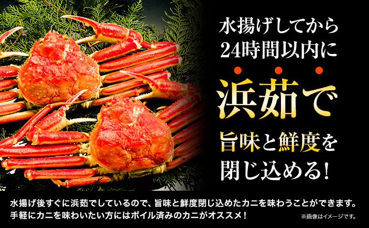 訳あり カニ 松葉ガニ 選べる 約1kg 2〜3枚《2024年11月中旬-2025年3月中旬に出荷予定》鳥取県 八頭町 送料無料 蟹 かに 姿 鍋 ズワイガニ 松葉ガニ ズワイ蟹 ボイル 冷蔵便 松葉