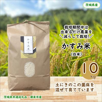 ふるさと納税 行方市 【毎月定期便】栽培期間中出来るだけ農薬を減らしたかすみ米 白米10kg茨城県共通返礼品潮来産全12回