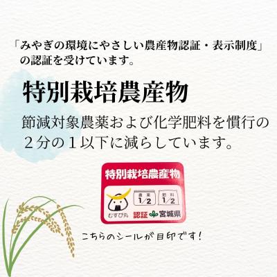 ふるさと納税 東松島市 宮城県産 令和7年産米先行予約 特別栽培米 ササニシキ 玄米 4.5kg デンマーク王室献上米 お米 |  | 01