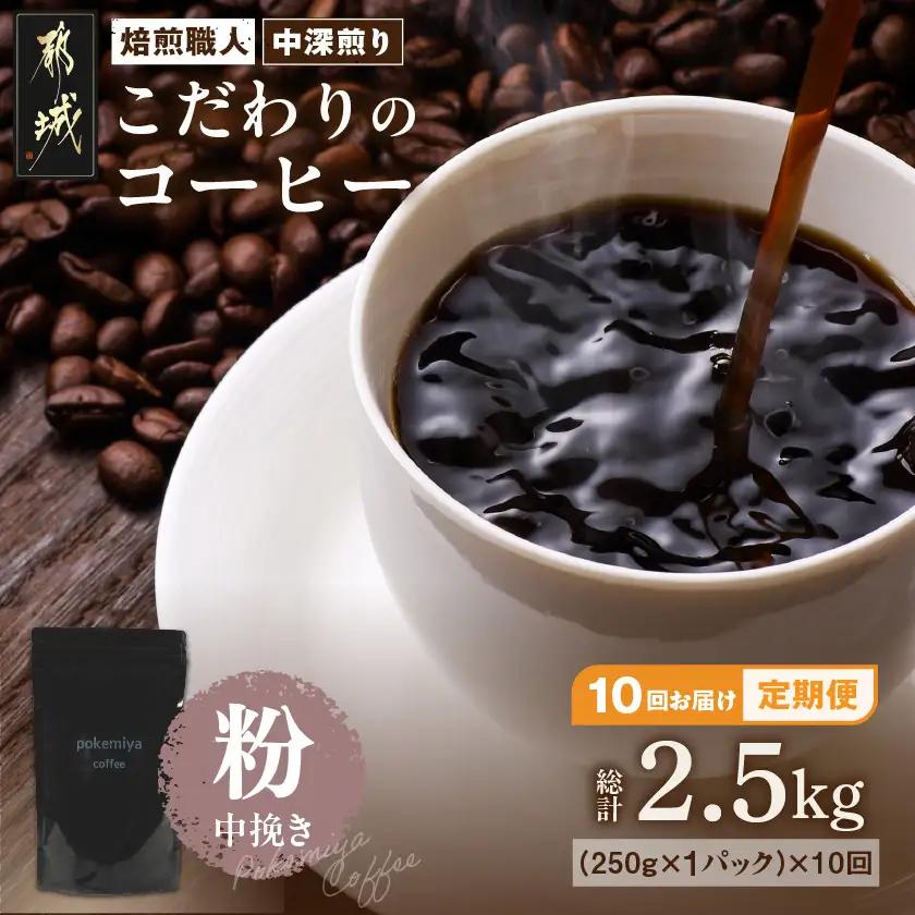10回お届け!焙煎職人こだわりのコーヒー定期便【粉】250g 小分けパック(ジッパー・バルブ付) ※中深煎り※_TLA10-3301_(都城市) レギュラーコーヒー コーヒー粉 250g1パック 少量パック ジッパー付き ポスト投函 珈琲 毎月お届け 10ヶ月