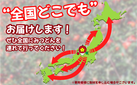 飯綱町PRキャラクター みつどん 旬のりんご 家庭用 5kg 全国お届け便 品種はおまかせ あたなのお家にお届けします！ 信州 果物 フルーツ りんご 林檎 長野 飯綱 いいづな PR キャラクター 