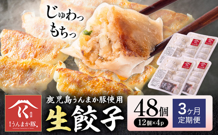 【3ヶ月定期便】鹿児島 うんまか豚 生餃子 48個 株式会社 寺師《お申し込み翌月から出荷》鹿児島県 さつま町 餃子 ギョウザ 焼き餃子 水餃子