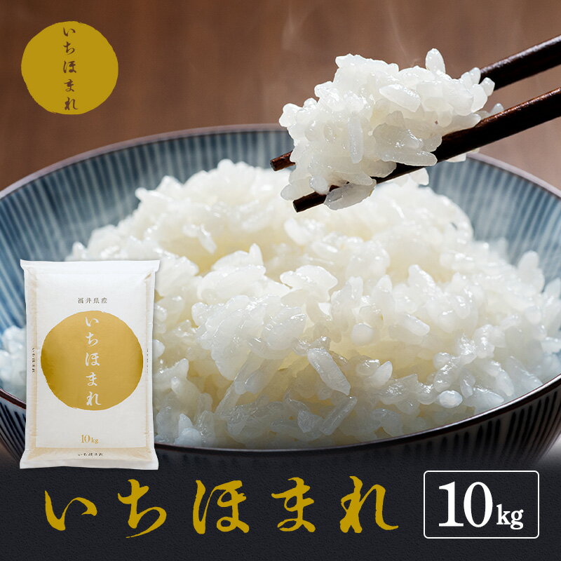 【ふるさと納税】白米 いちほまれ 10kg 精米 若狭町産 令和7年産 ブランド米 お米 ご飯 こめ コメ おこめ 令和七年産 福井産 福井米 新ブランド米 国産米 無地箱仕様 福井県　お届け：2026年10月より順次発送