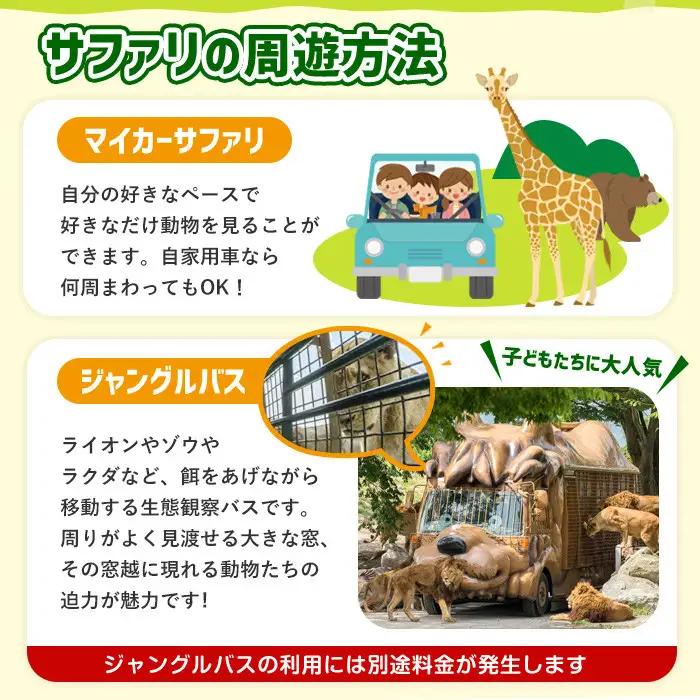 アフリカンサファリ入園券とオリジナルクリアファイルのセット(入園券(大人2枚・小人4枚)とクリアファイル)チケット 動物園 サファリパーク形動物園 家族旅行 デート 観光【110601700】【九州ア