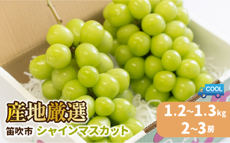 ＜25年発送先行予約＞産地厳選シャインマスカット1.2kg～1.3kg（2房～3房）※沖縄・離島配送不可※ 106-003  | ｼｬｲﾝﾏｽｶｯﾄ ｼｬｲﾝ ｼｬｲﾝﾏｽｶｯﾄ ｼｬｲﾝ ｼｬｲﾝﾏｽｶｯﾄ ｼｬｲﾝ ｼｬｲﾝﾏｽｶｯﾄ ｼｬｲﾝ ｼｬｲﾝﾏｽｶｯﾄ ｼｬｲﾝ ｼｬｲﾝﾏｽｶｯﾄ ｼｬｲﾝ ｼｬｲﾝﾏｽｶｯﾄ ｼｬｲﾝ ｼｬｲﾝﾏｽｶｯﾄ ｼｬｲﾝ ｼｬｲﾝﾏｽｶｯﾄ ｼｬｲﾝ ｼｬｲﾝﾏｽｶｯﾄ ｼｬｲﾝ ｼｬｲﾝﾏｽｶｯﾄ ｼｬｲﾝ ｼｬｲﾝﾏｽｶｯﾄ ｼｬｲﾝ ｼｬｲﾝﾏｽｶｯﾄ ｼ