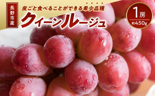 
                  長野市産 クイーンルージュ(R) 1房(約450g) 果物 くだもの フルーツ 葡萄 ぶどう ブドウ 人気 長野県 長野市 | ぶどう 希少品種 クイーンルージュ 皮ごと 人気 おすすめ フルーツ 果物 葡萄 ブドウ 高級 シャインマスカット ユニコーン 長野県 長野市 信州 信濃 ふるさと納税
                