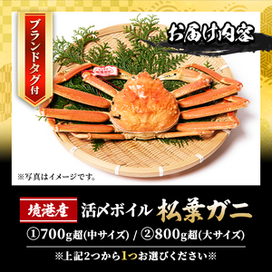 ＜先行予約受付中！11月中旬～2月下旬発送予定＞活〆ボイル松葉蟹(大/800g～・平日着※指定日不可) 魚介 海鮮 海の幸 カニ かに 蟹 松葉ガニ 活〆 ボイル 焼きガニ 鍋 弾力 甘み 冷蔵 ギフ