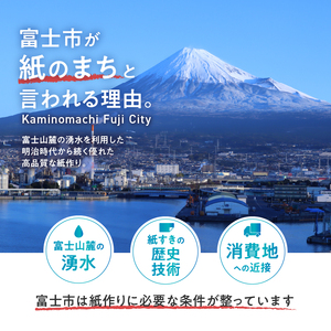 ペット用ティッシュ 1000枚 6パック 水に流せる ソフトタイプ 再生紙100％ ペット用品 ティッシュペーパー 散歩 お尻ふき 富士市 [sf079-004]
