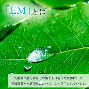 EM石けん ＆ EMボカシ セット ＜ 福祉事業所 ポパイの家 ＞ ／ 石鹸 せっけん 石けん 洗濯 洗濯用石けん EM石鹸 EMせっけん EM石けん EMぼかし EM製品 農業 堆肥 お洗濯 生ごみ