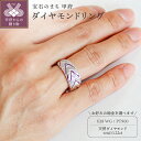 【ふるさと納税】 リング 指輪 ジュエリー レディース アクセサリー 天然 ダイヤモンド 0.22ct 選べる地金 プラチナ ホワイトゴールド 存在感 主役級 普段使い パーティー シンプル ボリューム 高級感 贅沢 誕生石 ジュエリーケース付 ギフトバック付 保証書付 k295-026