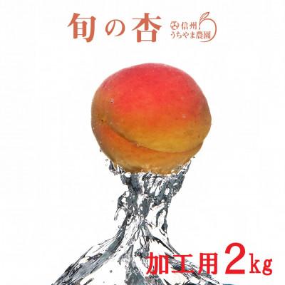ふるさと納税 長野県 長野県産★杏(あんず) 「加工用・ジャム用」2kg　手作り杏仁豆腐のレシピ付き!